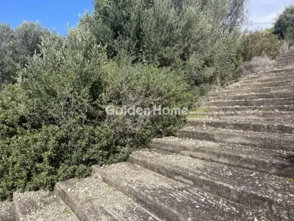 Οικιστικό 1056τ.μ. προς πώληση φωτογραφία 5296390