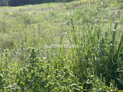 Οικιστικό 1216τ.μ. προς πώληση φωτογραφία 5303397