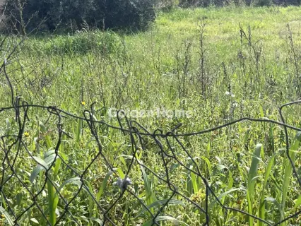 Οικιστικό 1216τ.μ. προς πώληση φωτογραφία 5303401