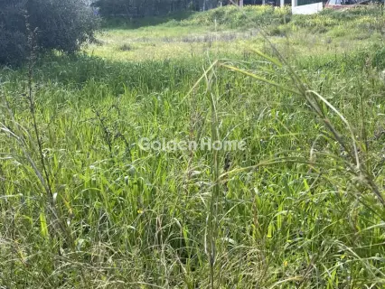 Οικιστικό 1216τ.μ. προς πώληση φωτογραφία 5303385