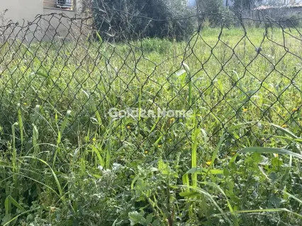 Οικιστικό 1216τ.μ. προς πώληση φωτογραφία 5303404