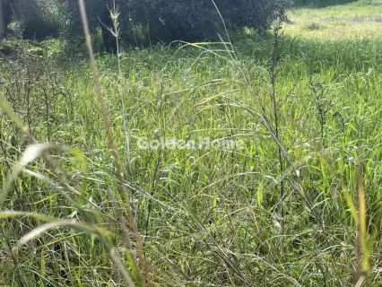 Οικιστικό 1216τ.μ. προς πώληση φωτογραφία 5303399