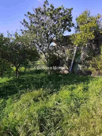 Αγροτεμάχιο 21048τ.μ. προς πώληση φωτογραφία 12