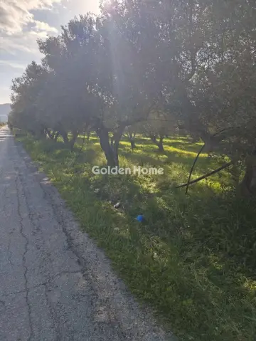 Αγροτεμάχιο 21048τ.μ. προς πώληση φωτογραφία 9