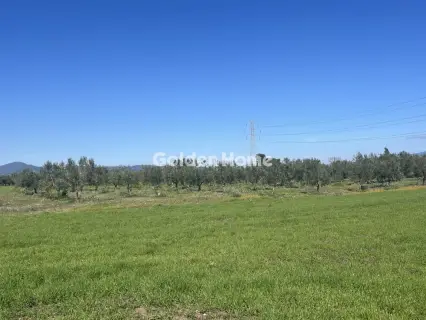 Αγροτεμάχιο 106000τ.μ. προς πώληση φωτογραφία 5304891