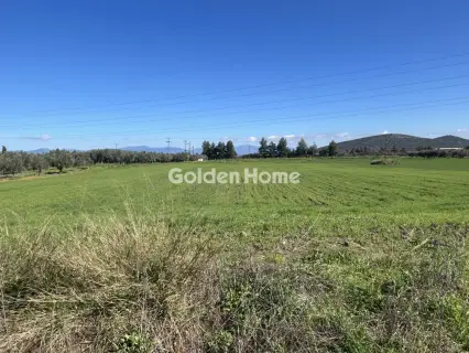 Αγροτεμάχιο 106000τ.μ. προς πώληση φωτογραφία 5304893