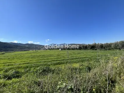 Αγροτεμάχιο 106000τ.μ. προς πώληση φωτογραφία 5304897