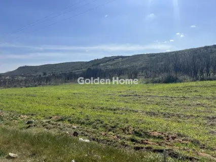 Αγροτεμάχιο 106000τ.μ. προς πώληση φωτογραφία 3