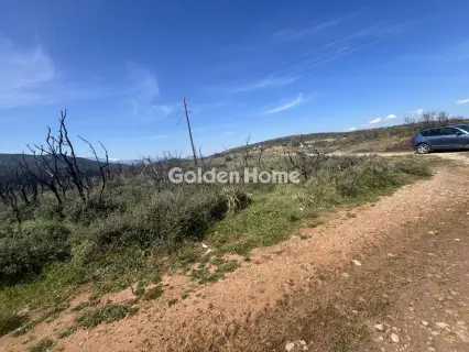 Αγροτεμάχιο 106000τ.μ. προς πώληση φωτογραφία 7