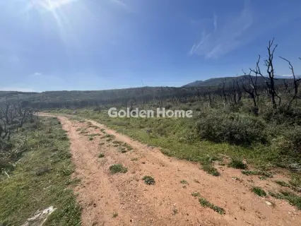 Parcel 134000m<sup>2</sup> for sale photo 6