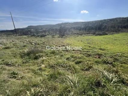 Αγροτεμάχιο 106000τ.μ. προς πώληση φωτογραφία 8