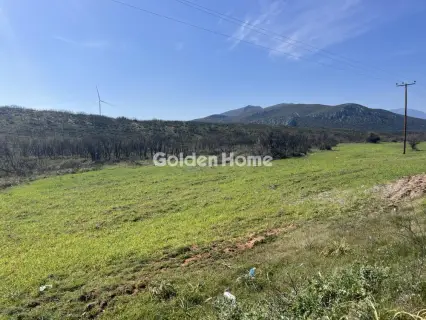 Αγροτεμάχιο 106000τ.μ. προς πώληση φωτογραφία 5328751