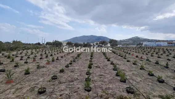 Οικιστικό 4000τ.μ. προς ενοικίαση φωτογραφία 5