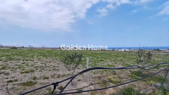 Οικιστικό 4000τ.μ. προς ενοικίαση φωτογραφία 3