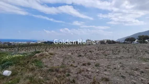 Οικιστικό 4000τ.μ. προς ενοικίαση φωτογραφία 4