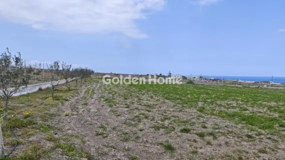 Οικιστικό 4000τ.μ. προς ενοικίαση φωτογραφία 2