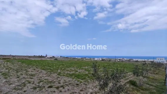 Οικιστικό 4000τ.μ. προς ενοικίαση φωτογραφία 1