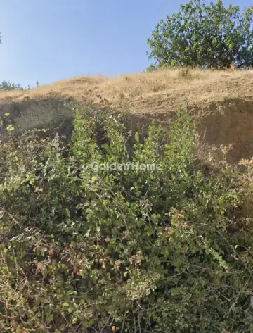 Επαγγελ. Οικόπεδο 3800τ.μ. προς ενοικίαση φωτογραφία 5299127