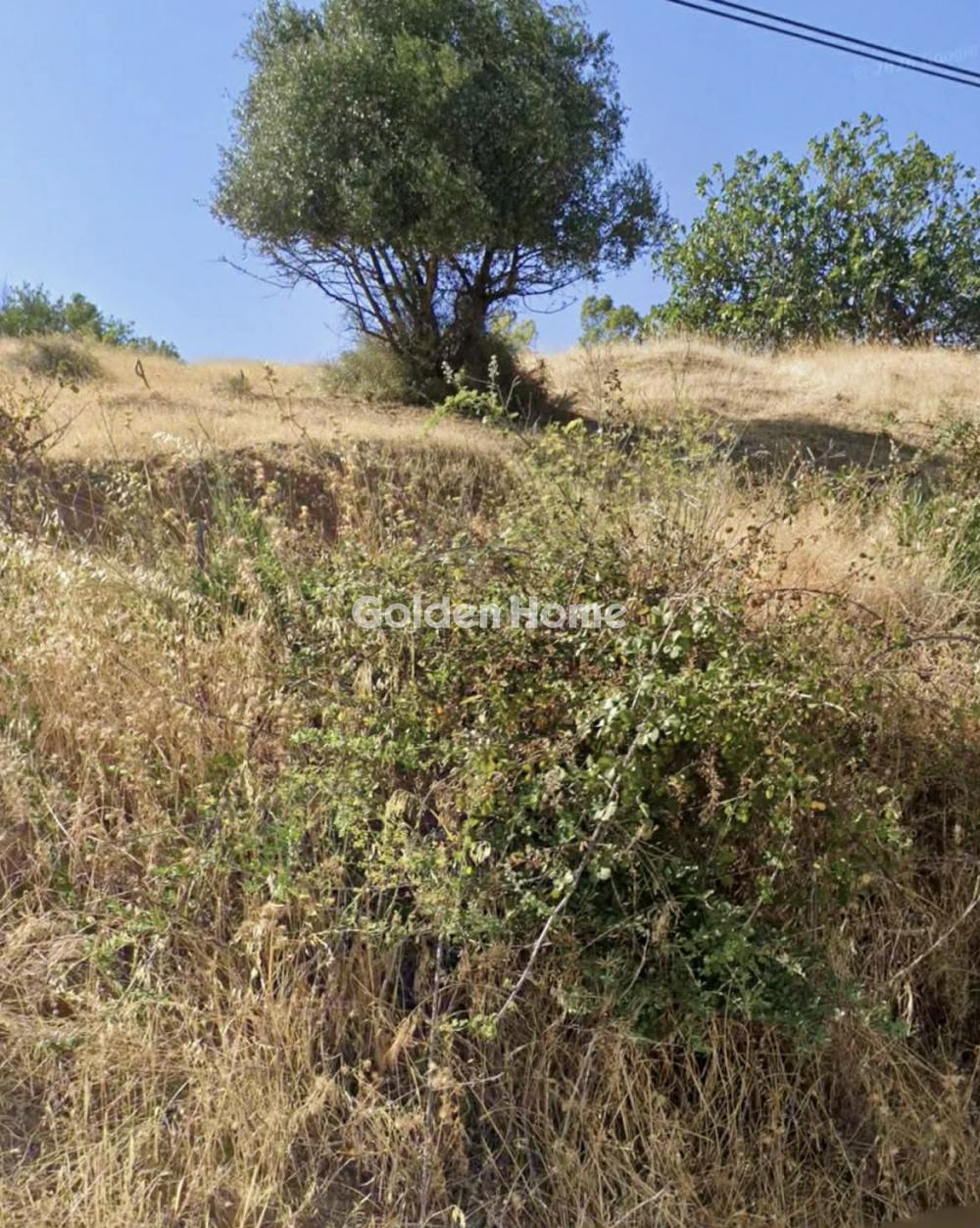 Επαγγελ. Οικόπεδο 170τ.μ. προς ενοικίαση φωτογραφία προβολής