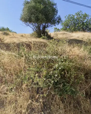 Επαγγελ. Οικόπεδο 3800τ.μ. προς ενοικίαση φωτογραφία 5299126