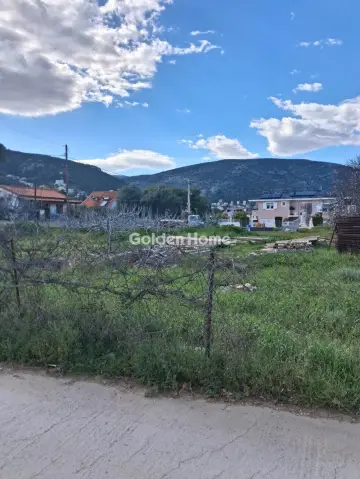 Οικιστικό 695τ.μ. προς πώληση φωτογραφία 5303372