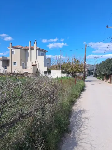 Οικιστικό 695τ.μ. προς πώληση φωτογραφία 5303372