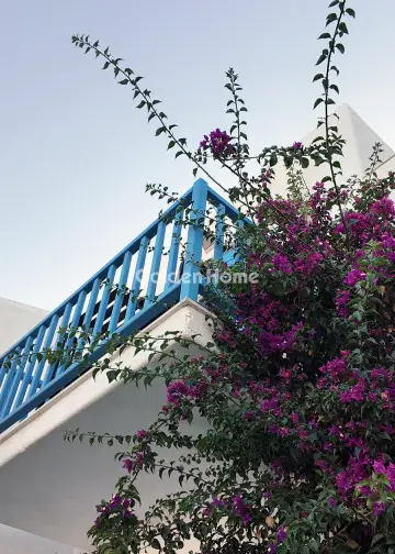 Ξενοδοχείο 3295τ.μ. προς πώληση φωτογραφία 17