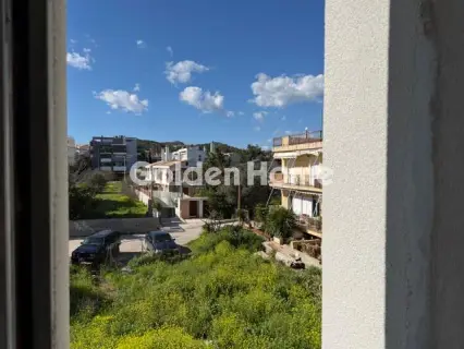 Μονοκατοικία 395τ.μ. προς πώληση φωτογραφία 15