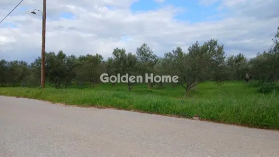 Αγροτεμάχιο 6000τ.μ. προς πώληση φωτογραφία 5299542