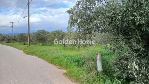 Αγροτεμάχιο 6000τ.μ. προς πώληση φωτογραφία 5299542