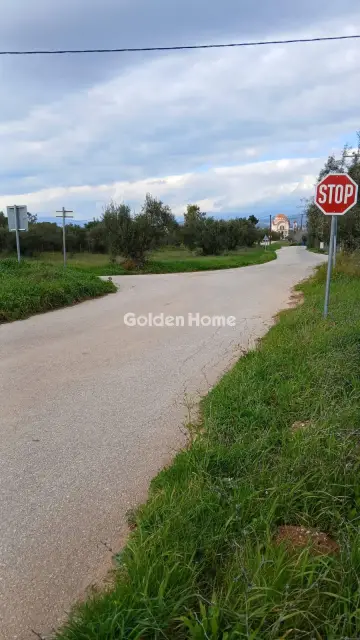 Αγροτεμάχιο 6000τ.μ. προς πώληση φωτογραφία 5299543