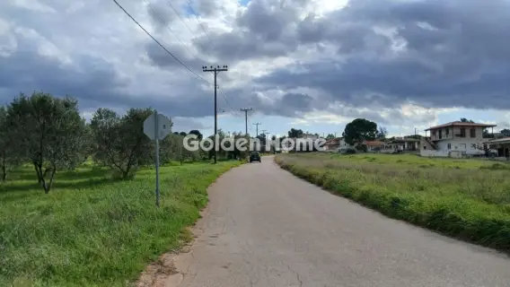 Αγροτεμάχιο 6000τ.μ. προς πώληση φωτογραφία 5299543