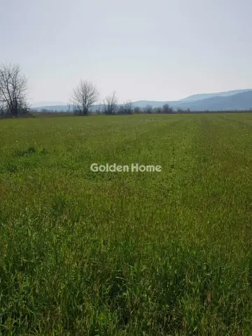 Αγροτεμάχιο 6000τ.μ. προς πώληση φωτογραφία 5315529