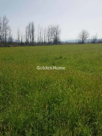 Αγροτεμάχιο 6000τ.μ. προς πώληση φωτογραφία 5315530