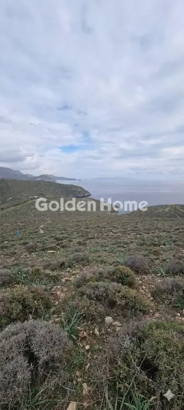 Αγροτεμάχιο 5287τ.μ. προς πώληση φωτογραφία 1