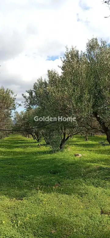 Parcel 5500m<sup>2</sup> for sale photo 5362491