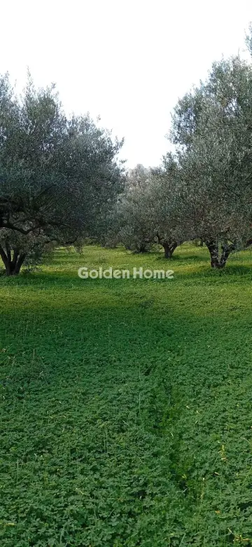 Parcel 5500m<sup>2</sup> for sale photo 5362491