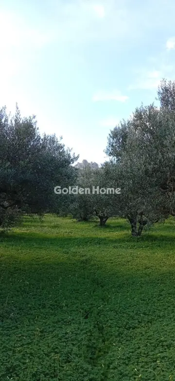 Parcel 4380m<sup>2</sup> for sale photo 5362477