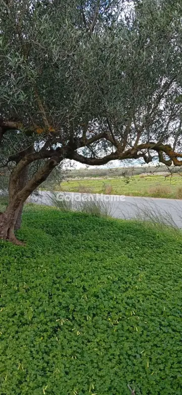 Parcel 4380m<sup>2</sup> for sale photo 5362475