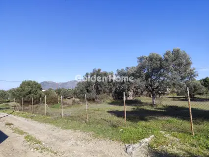 Αγροτεμάχιο 955τ.μ. προς πώληση φωτογραφία 5302902