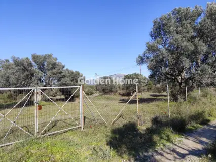 Αγροτεμάχιο 955τ.μ. προς πώληση φωτογραφία 5302905