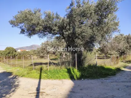 Αγροτεμάχιο 955τ.μ. προς πώληση φωτογραφία 5302901