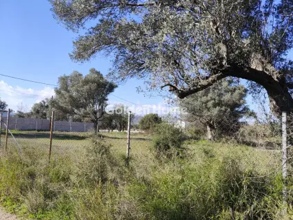 Αγροτεμάχιο 955τ.μ. προς πώληση φωτογραφία 5302906