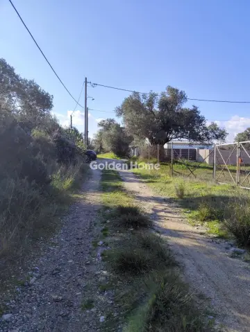 Αγροτεμάχιο 955τ.μ. προς πώληση φωτογραφία 5302907