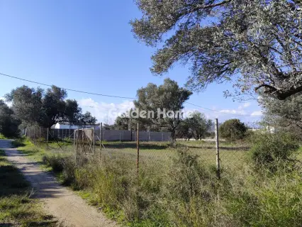 Αγροτεμάχιο 955τ.μ. προς πώληση φωτογραφία 5302908