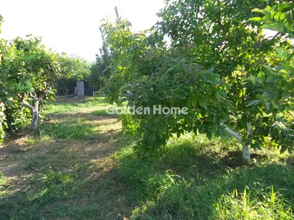 Μονοκατοικία 135τ.μ. προς πώληση φωτογραφία 15