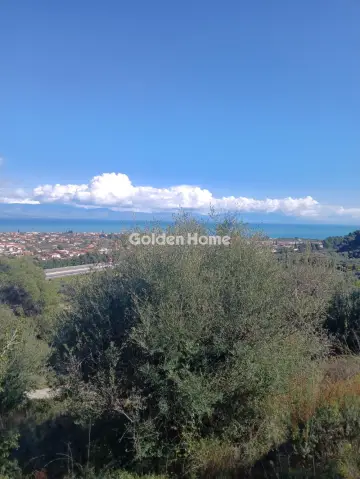 Αγροτεμάχιο 22000τ.μ. προς πώληση φωτογραφία 1