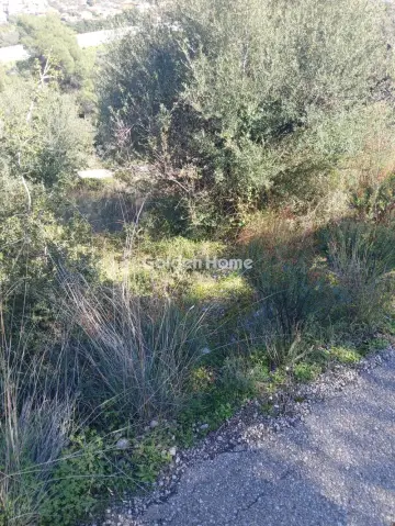 Αγροτεμάχιο 22000τ.μ. προς πώληση φωτογραφία 3