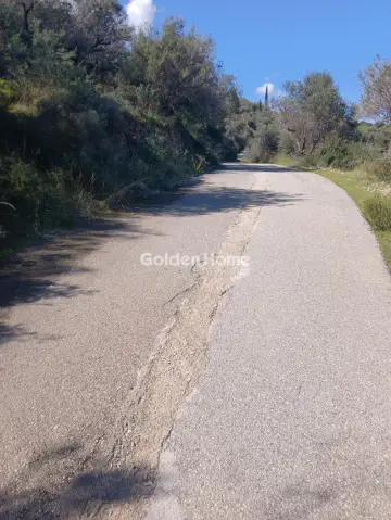 Αγροτεμάχιο 22000τ.μ. προς πώληση φωτογραφία 4