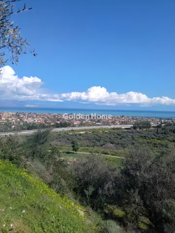 Αγροτεμάχιο 22000τ.μ. προς πώληση φωτογραφία 2